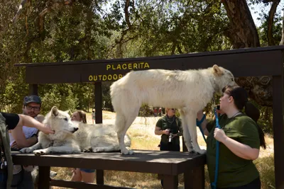 DSC_1661 (Large).JPG